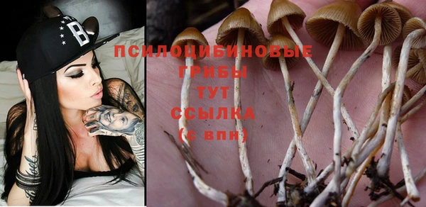ешки Волосово
