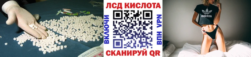 продажа наркотиков  Чегем  ЛСД экстази ecstasy 